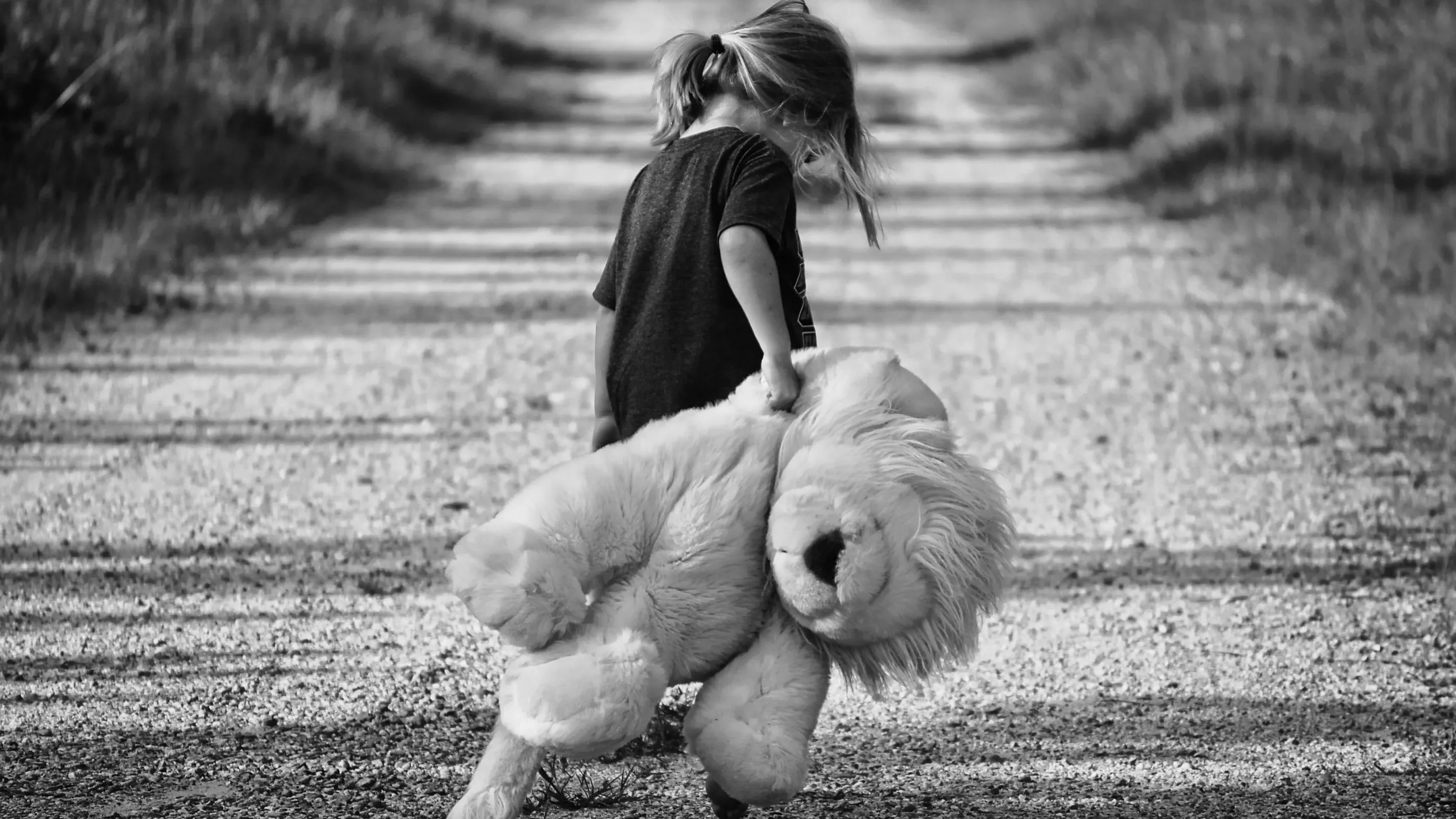Девочка несет игрушку льва по дороге фото на taspanews.kz от 21 мая 2024 16:15