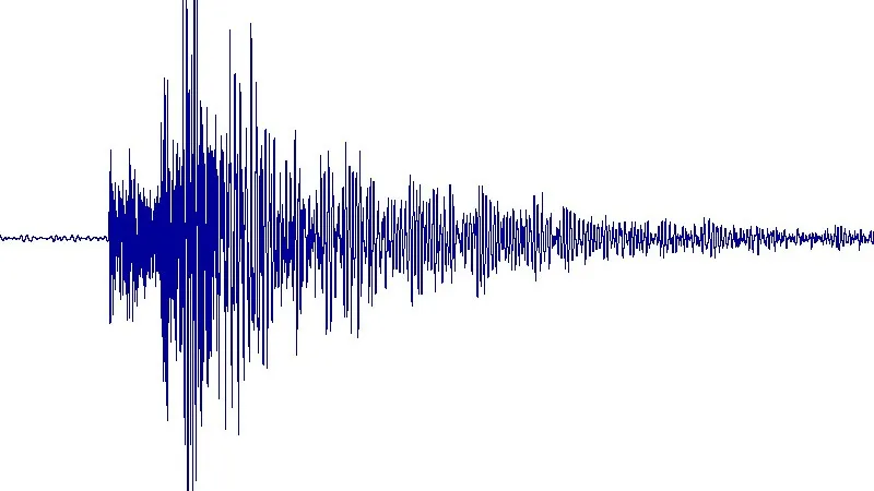 Магнитуда землетрясения фото на taspanews.kz от 27 мая 2024 12:00