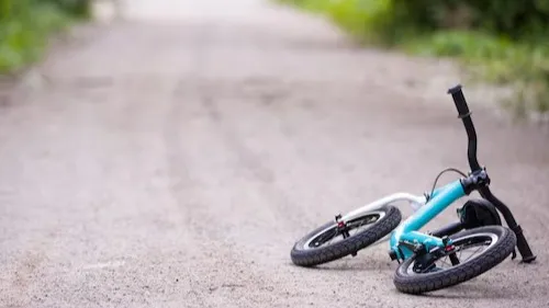 Детский двухколесный велосипед лежит на лесной дороге фото на taspanews.kz от 27 мая 2024 15:14