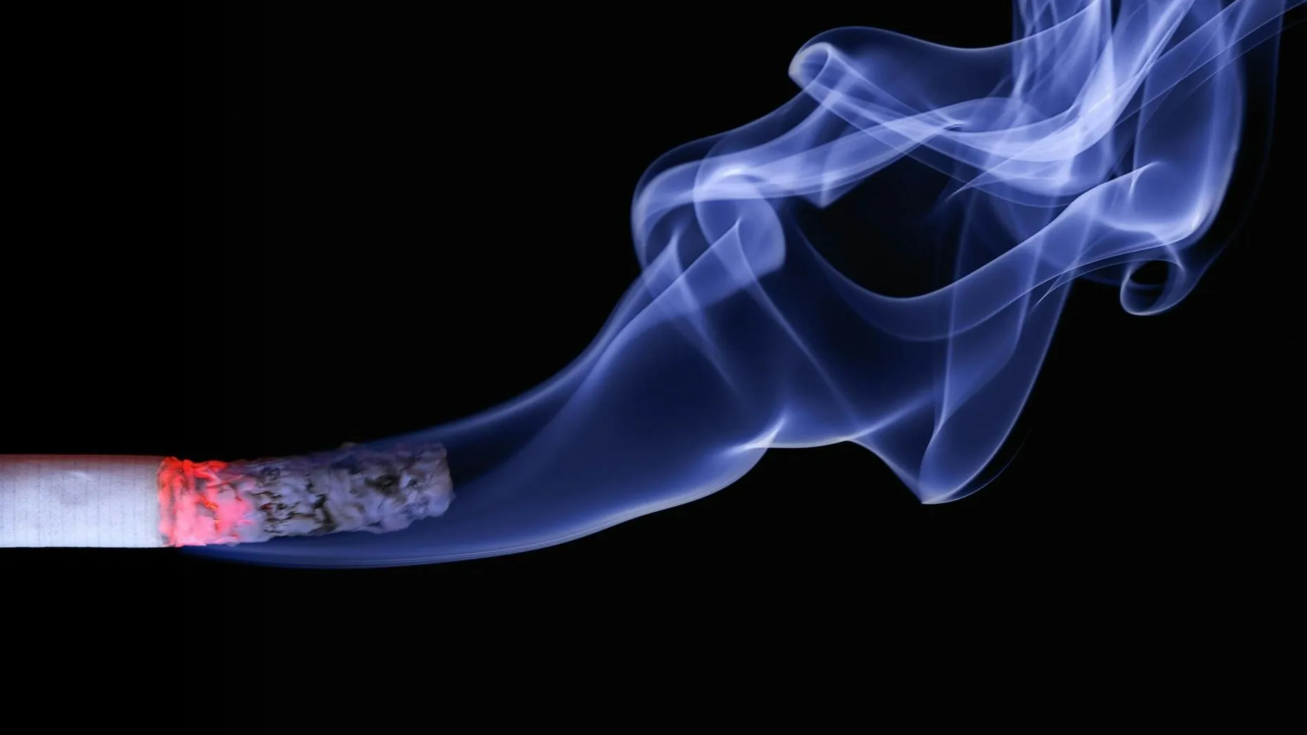 Горящая сигарета дымится фото на taspanews.kz от 27 мая 2024 16:03