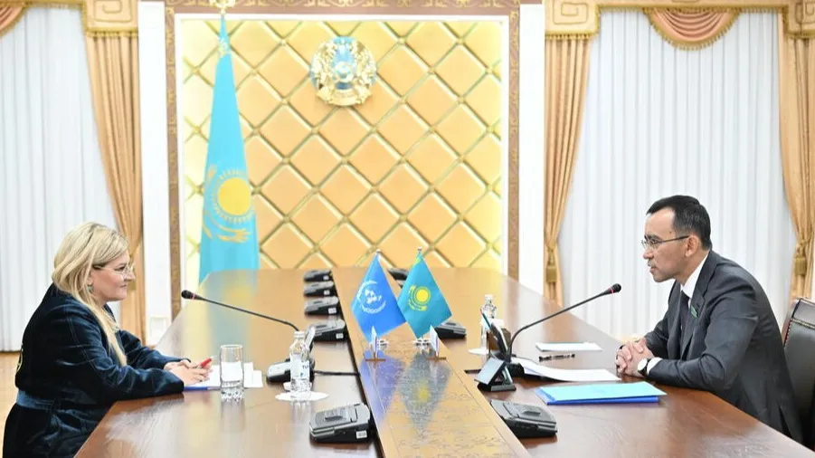 Председатель Сената Парламента Маулен Ашимбаев встретился с Постоянным представителем Программы развития ООН Катаржиной Вавьерниа. фото на taspanews.kz от 31 мая 2024 13:45