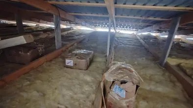 На чердаке жителя Жетысу нашли рога сайги на 1,2 млрд тенге