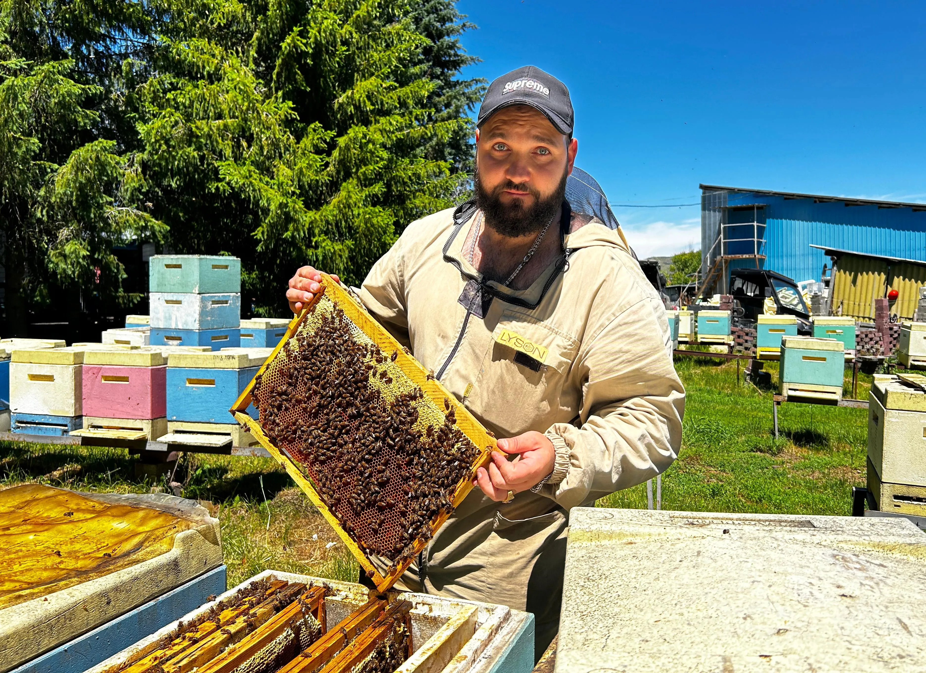 Житель Жетысуской области экспортирует мед и занимается селекцией пчел фото taspanews.kz от 06/07/2024 14:06:01 фото на taspanews.kz от 07 июня 2024 14:12