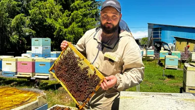 Житель Жетысуской области экспортирует мед и занимается селекцией пчел фото taspanews.kz от 06/07/2024 14:06:01
