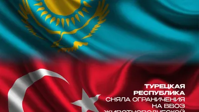 Турция сняла импортные ограничения для казахстанской животноводческой продукции фото taspanews.kz от 06/10/2024 18:43:50