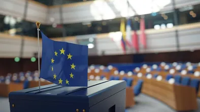 Депутатом Европарламента избрали 24-летнего блогера