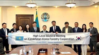 Казахстан и Корея усиливают сотрудничество в сфере лесного хозяйства фото taspanews.kz от 06/11/2024 17:34:26