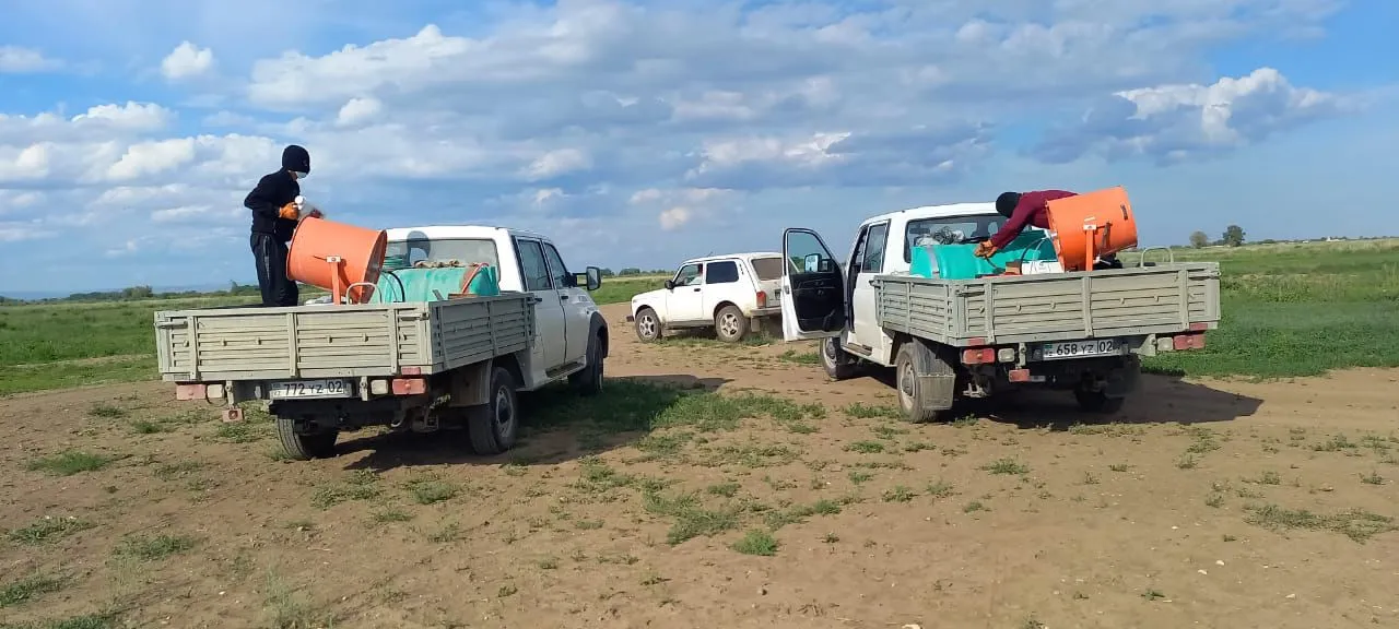 В Казахстане обработано 1,3 млн га площадей против саранчовых вредителей фото taspanews.kz от 06/17/2024 15:32:01 фото на taspanews.kz от 17 июня 2024 15:32