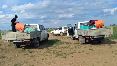 В Казахстане обработано 1,3 млн га площадей против саранчовых вредителей фото taspanews.kz от 06/17/2024 15:32:01