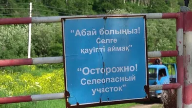 В Восточном Казахстане объявлен селеопасный период
