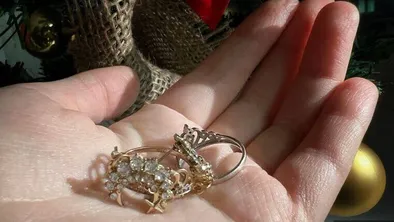 Женщина в Туркестанской области украла золотые украшения у соседки на 2,5 млн тенге фото taspanews.kz от 06/19/2024 13:26:53