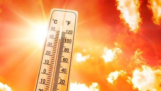 Сильная жара до 41 градуса ожидается в Шымкенте 27 июня фото taspanews.kz от 06/26/2024 18:39:11 фото на taspanews.kz от 26 июня 2024 18:39