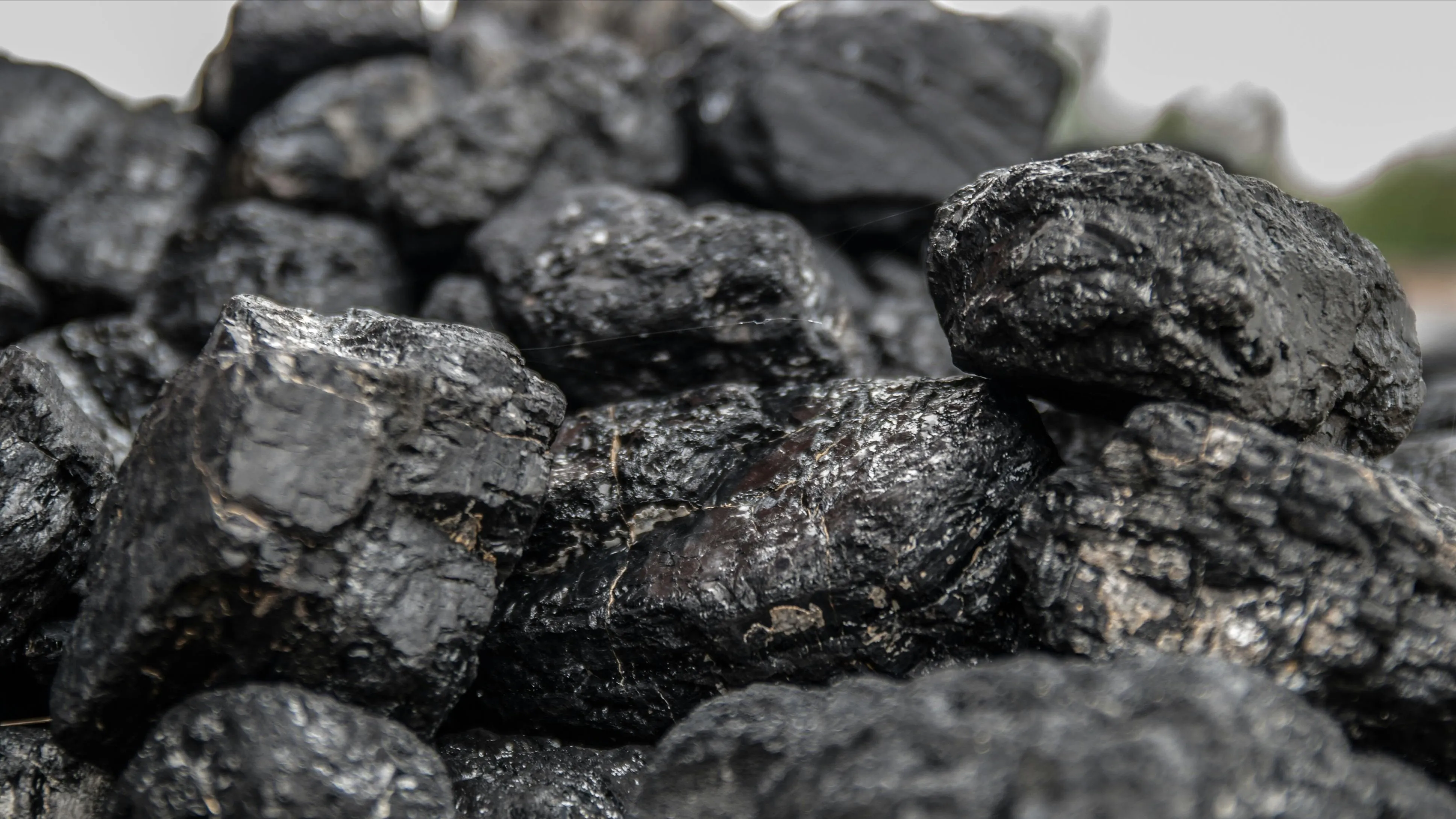coal фото на taspanews.kz от 01 июля 2024 12:05