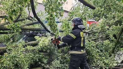 Ураган в Петербурге: сообщается о первой жертве