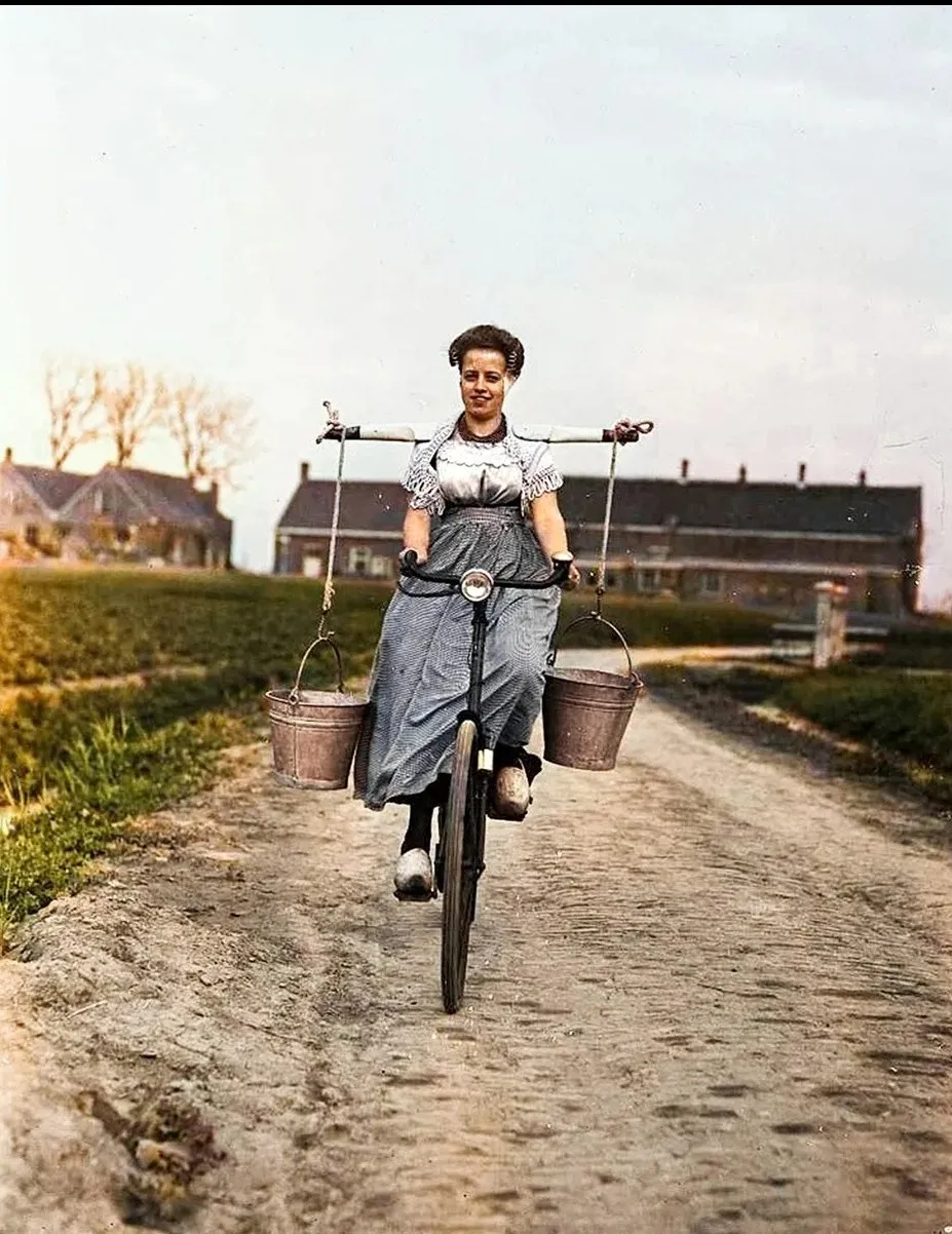Крестьянка едет на велосипеде с ведрами молока на коромысле. Нидерланды, 1946 год фото на taspanews.kz от 03 июля 2024 14:27