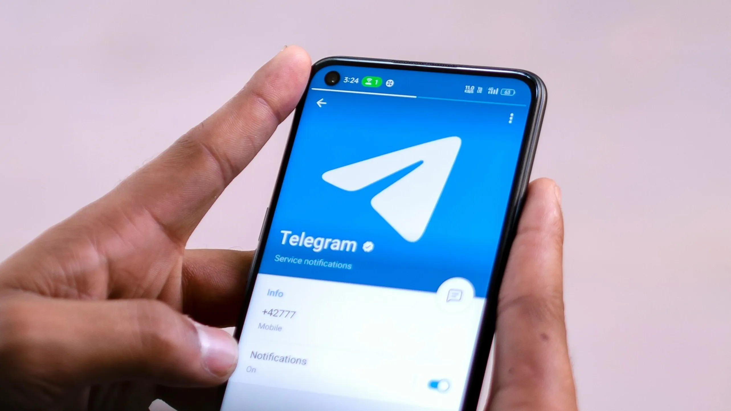 Владельцы Telegram-каналов начнут зарабатывать криптовалюту на платных реакциях фото на taspanews.kz от 03 июля 2024 23:13