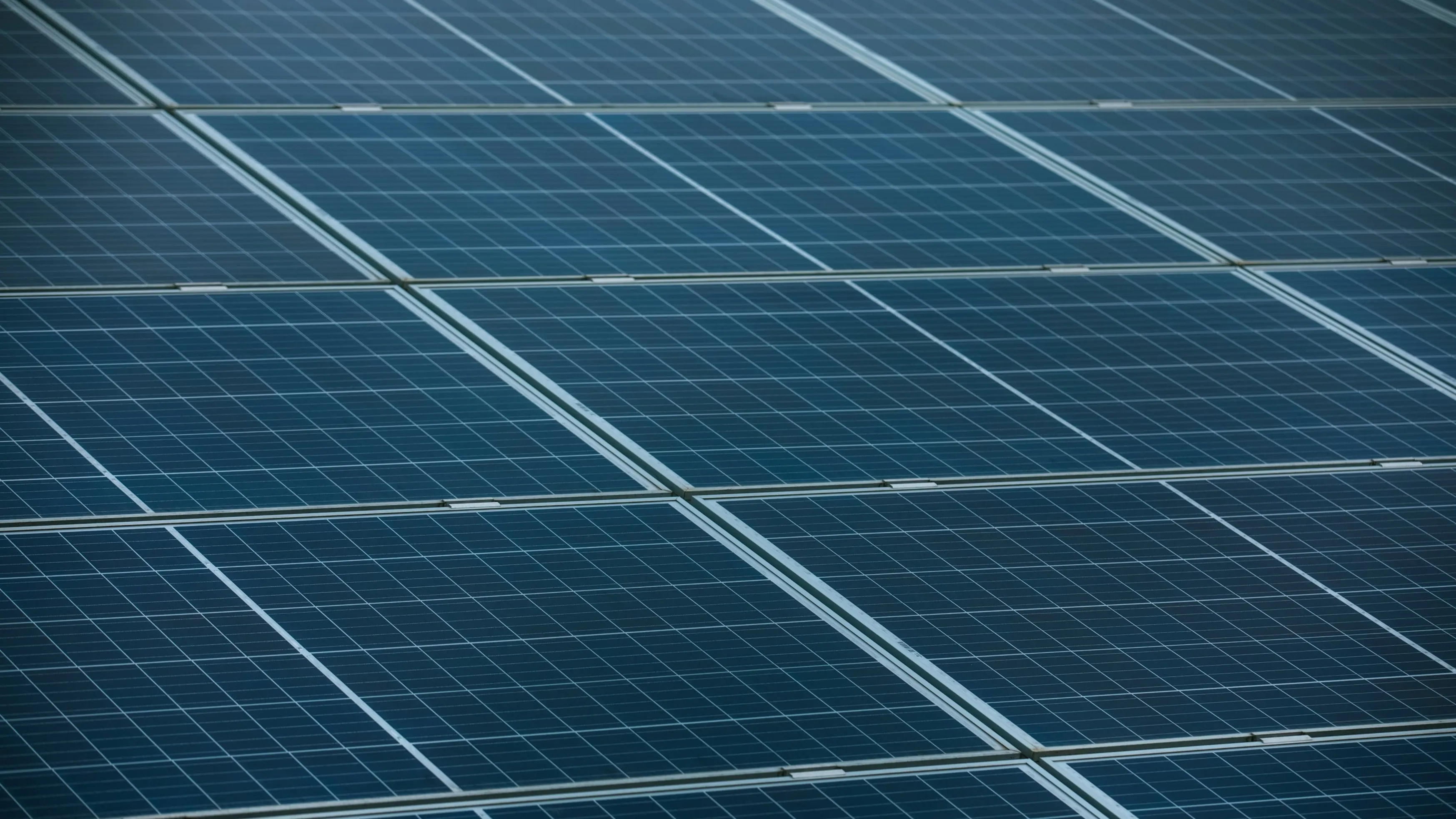 solar power plant фото на taspanews.kz от 04 июля 2024 15:20