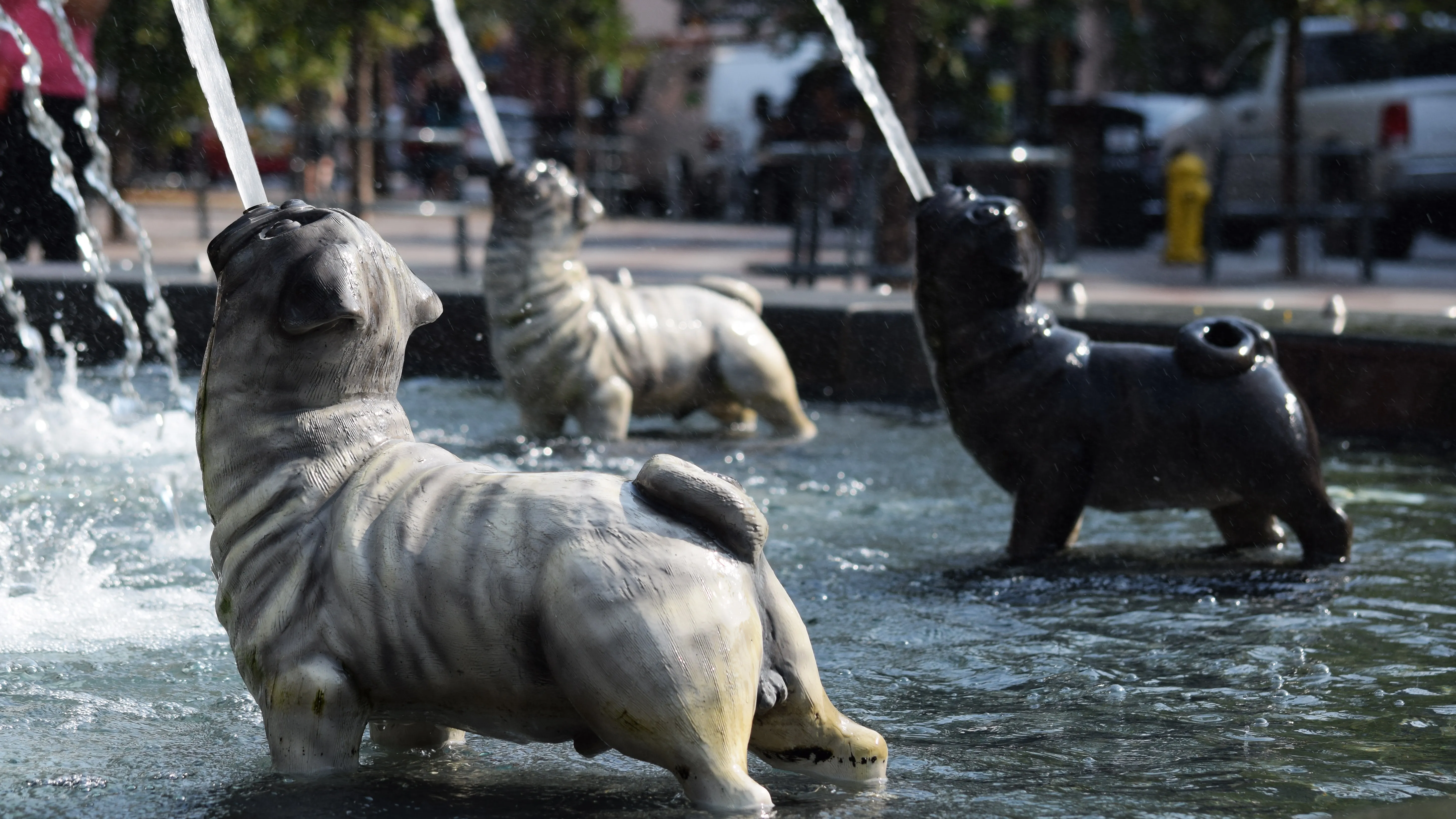 the dog fountain in toronto. фото на taspanews.kz от 11 июля 2024 11:17