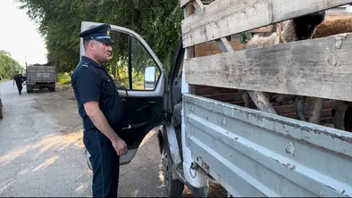 Две преступные группы барымтачей разоружены в Жамбылском районе фото taspanews.kz от 07/11/2024 17:03:13