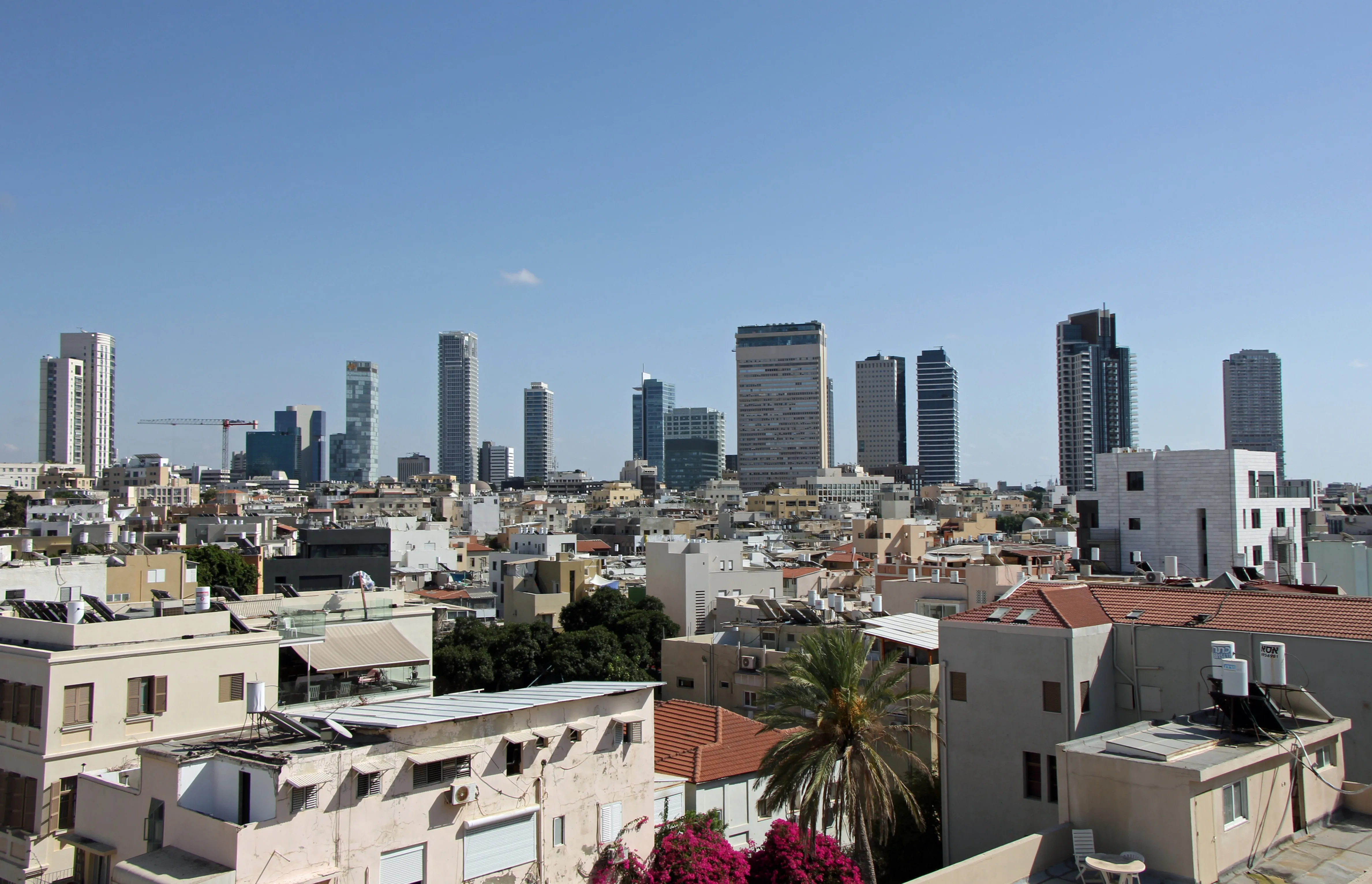 Tel Aviv фото на taspanews.kz от 16 июля 2024 12:16