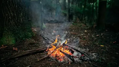 Ішімдік ішкендер орманда бір әйелді тұншықтырып өртеп жіберді