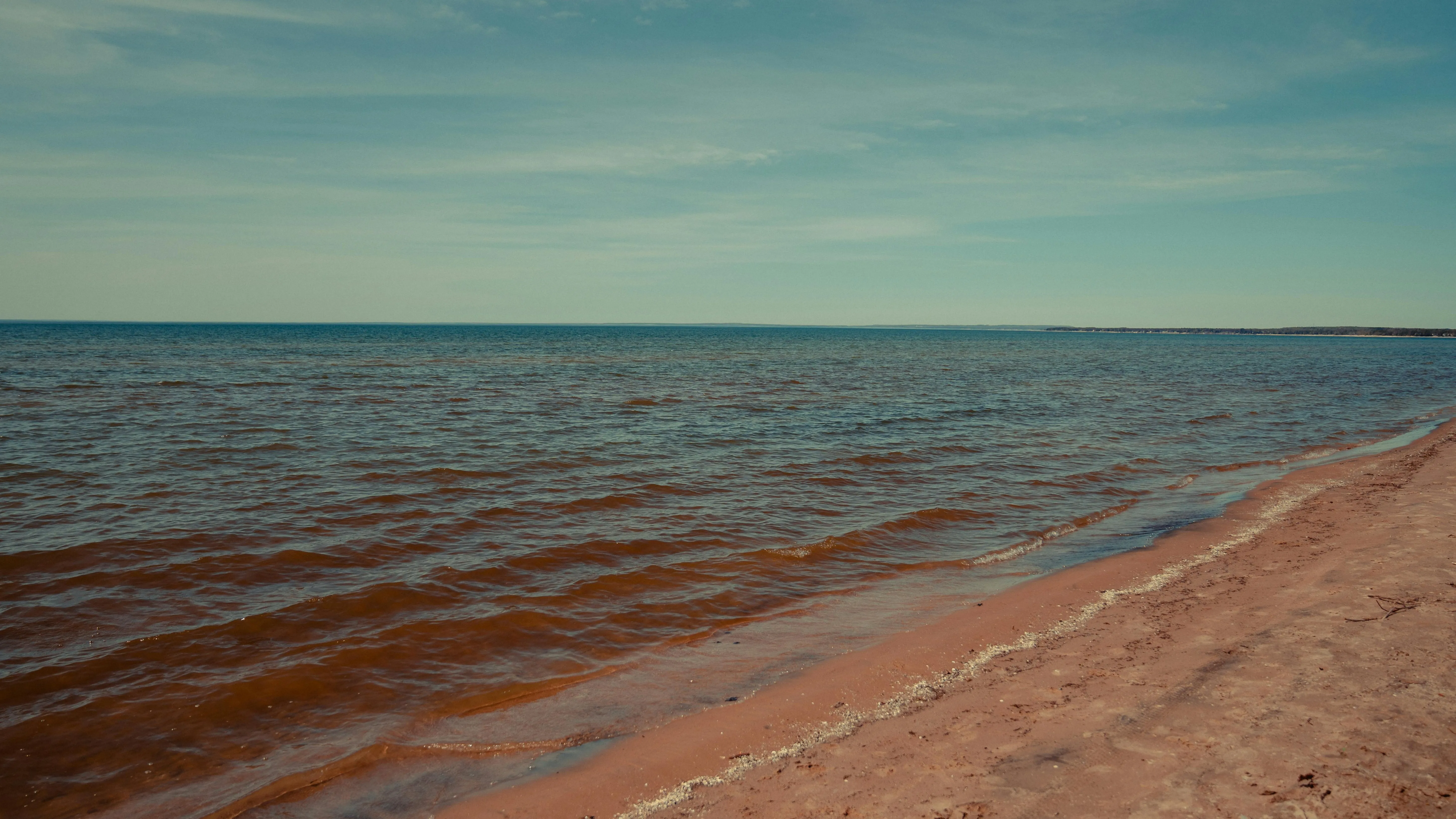 В Северное Аральское море поступает в 12,5 раз больше воды, чем в прошлом году фото на taspanews.kz от 18 июля 2024 10:53