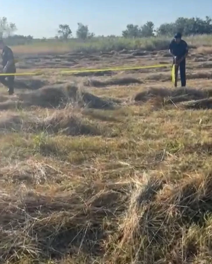 Останки пропавшей в марте трехлетней девочки нашли в Алматинской области фото на taspanews.kz от 23 июля 2024 08:59