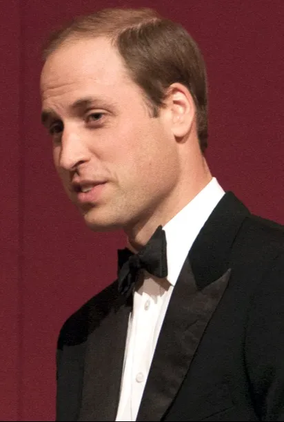 Prince William  фото на taspanews.kz от 24 июля 2024 17:15