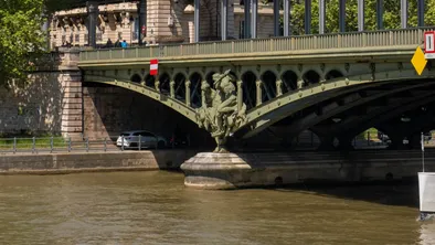 Загрязнение Сены в день заплыва мэра Парижа превысило допустимые нормы