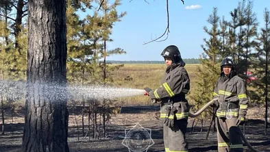 Лесной пожар в области Абай локализован на площади 7 гектаров