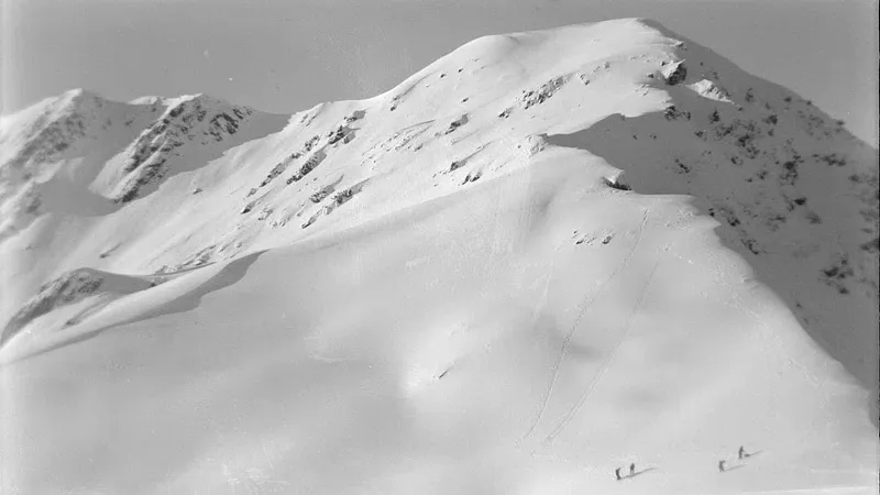 Dotson Glacier фото на taspanews.kz от 02 августа 2024 12:33