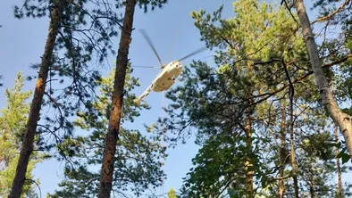 Молния вызвала лесной пожар в ВКО