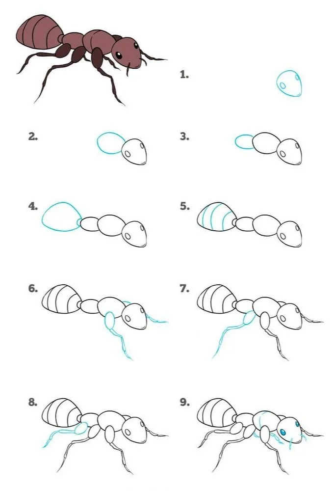 Как нарисовать муравья, этапы прорисовки фото на taspanews.kz от 20 августа 2024 11:29