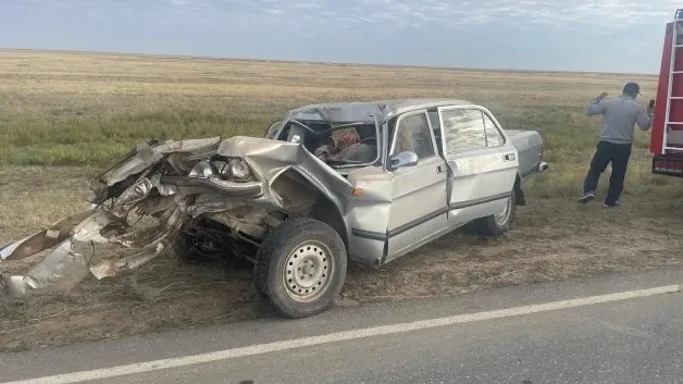 Дәрігерлер БҚО-да болған апаттан зардап шеккен балалардың жағдайы туралы айтып берді фото на taspanews.kz от 26 августа 2024 10:46