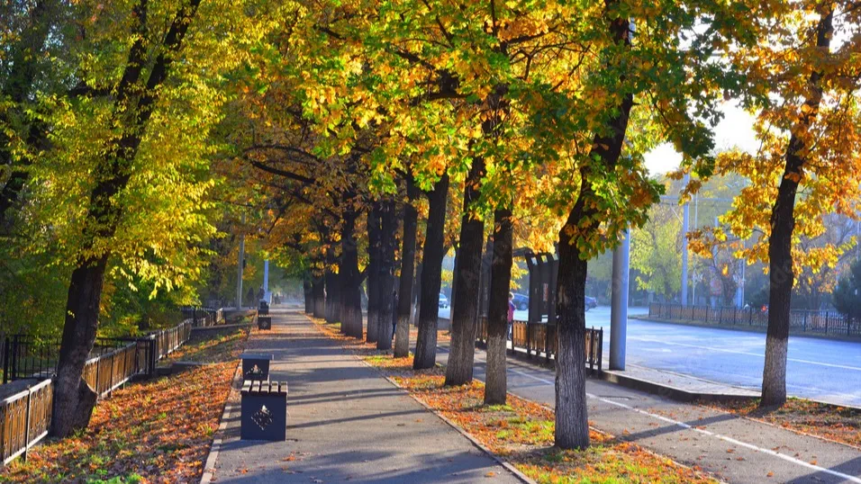 Almaty city фото на taspanews.kz от 13 сентября 2024 10:48