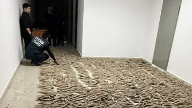  Қызылорда ПД