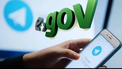E gov