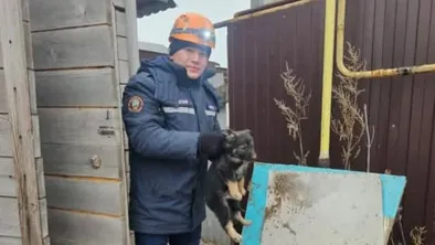 Күшік