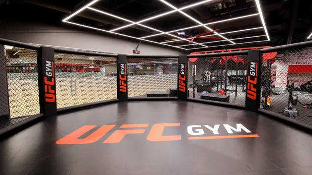 UFC и WWE