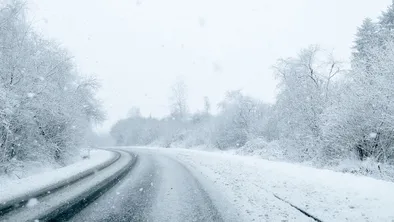 метель на дороге