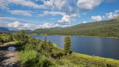  Көлік министрлігі