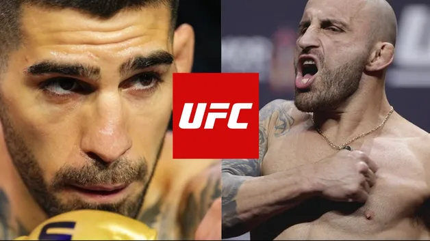 UFC314