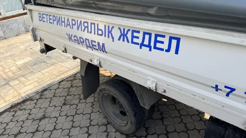 Алматы әкімдігі фото на taspanews.kz от 19 февраля 2025 18:24
