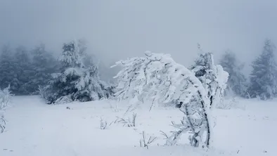 снег, ветер