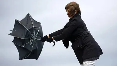 istockphoto.com
