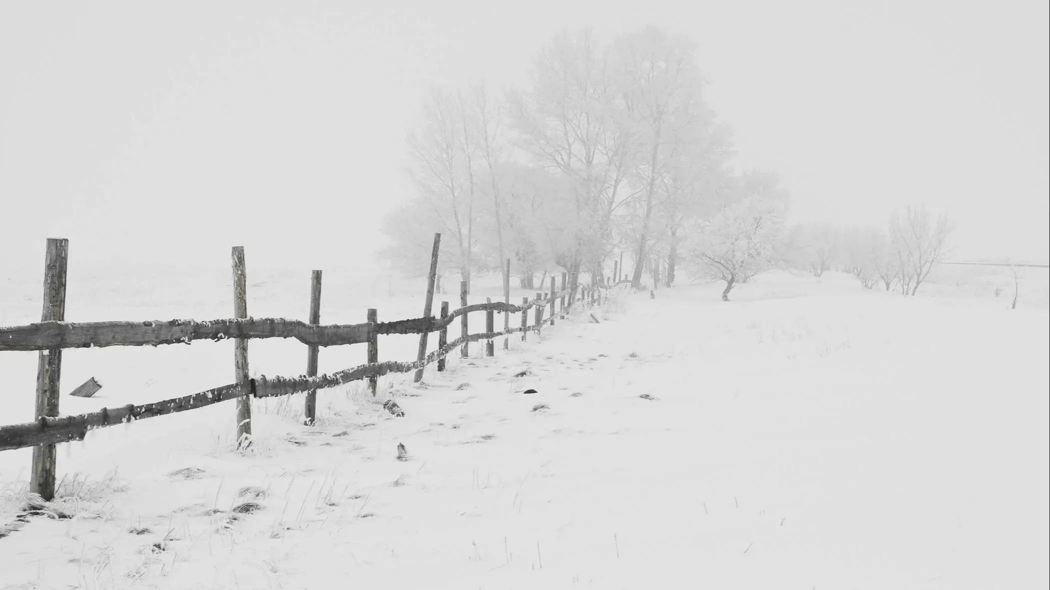  Pixabay.com фото на taspanews.kz от 18 апреля 2025 23:13