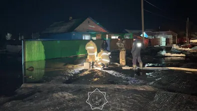 Сельского акима в Казахстане приговорили за наводнение