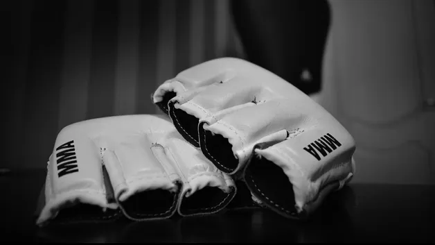 Перчатки MMA
