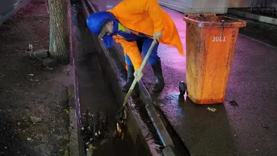 Вместо штрафов: казахстанцев хотят наказывать уборкой улиц