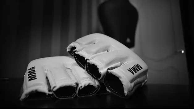 Перчатки MMA
